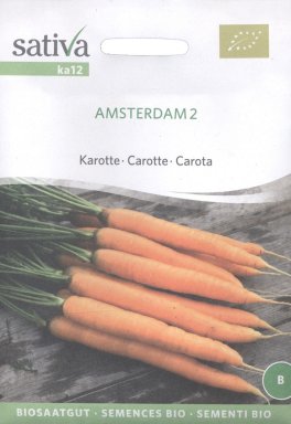 Semi di Carota Amsterdam - 1