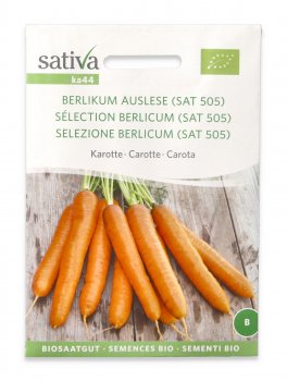 Semi di Carota Bio - Selezione Berlicum - 1