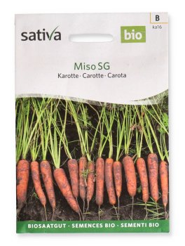 Semi di Carota Miso SG Bio - 1