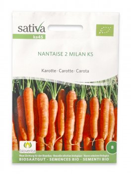 Semi di Carota Nantaise 2 Bio - Milan Ks - 1
