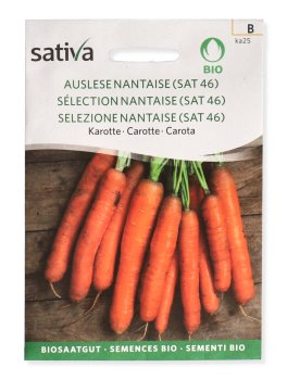 Semi di Carota Nantese - 1
