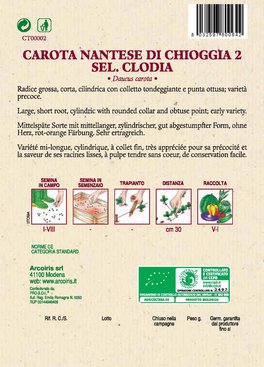 Semi di Carota Nantese Bio - 2