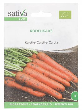 Semi di Carota "Rodelika" - 1