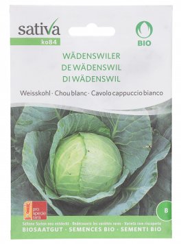 Semi di Cavolo Cappuccio Bianco De Wadenswil - 1