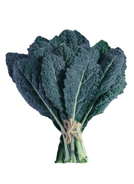 Semi di Cavolo Nero di Toscana Bio - 1