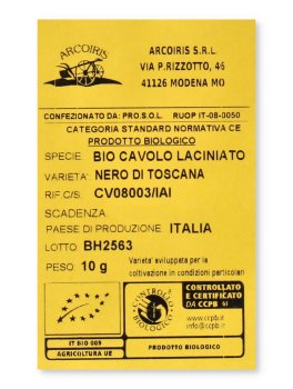 Semi di Cavolo Nero di Toscana Bio - 3