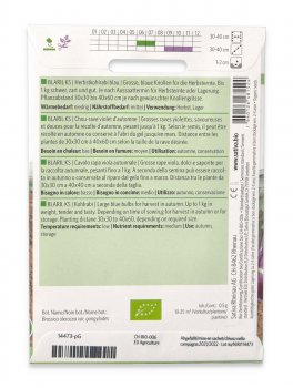 Semi di Cavolo Rapa Viola Bio - Autunnale Blaris K - 2