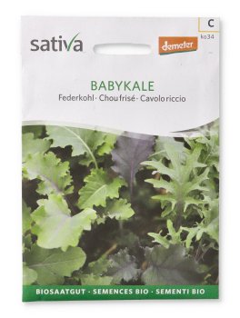 semi di Cavolo Riccio - Babykale - 1