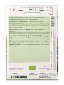 Semi di Cavolo Riccio Bio - Ostfriesische Palme - 2