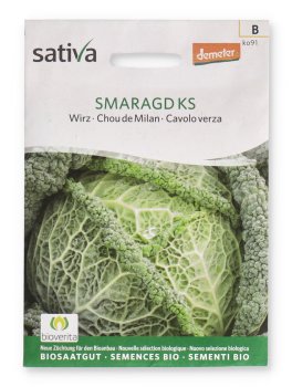 Semi di Cavolo Verza Bio - Smaragd KS - 1