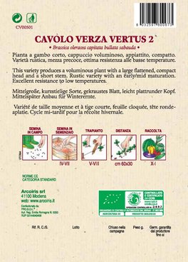 Semi di Cavolo Verza Vertus Bio - 2