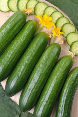 Semi di Cetriolo Lungo Verde degli Ortolani Bio - 3