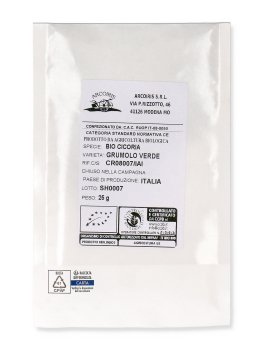Semi di Cicoria Grumolo Verde Bio - 2