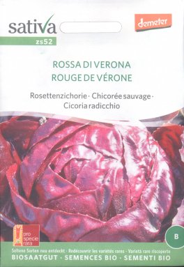 Semi di Cicoria Radicchio Rossa di Verona - 1