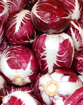 Semi di Cicoria Rossa di Verona a Palla Bio - 4