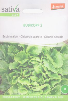Semi di Cicoria Scarola Bubikopf 2 - 1