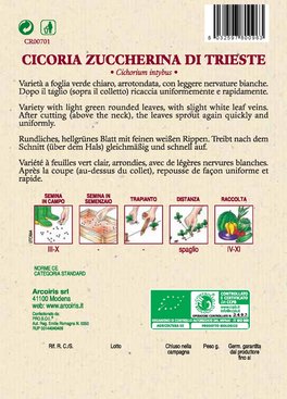 Semi di Cicoria Zuccherina di Trieste - 5 gr - BU035 - 2
