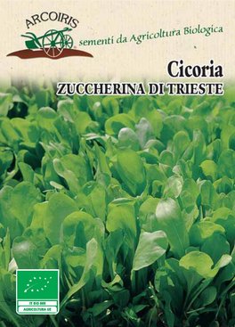 Semi di Cicoria Zuccherina di Trieste - 5 gr - BU035