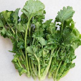 Semi di Cima di Rapa - 3