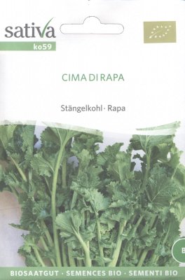 Semi di Cima di Rapa - 1