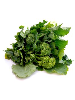 Semi di Cima di Rapa Novantina Bio - 1