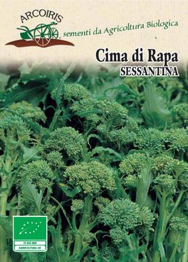 BU014 - Semi di Cima di Rapa Sessantina - 8 gr