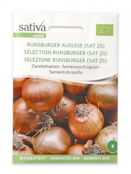 Semi di Cipolla Bio - Selezione Rijnsburger - 1