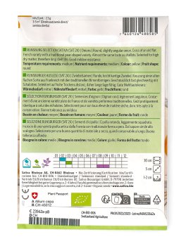 Semi di Cipolla Bio - Selezione Rijnsburger - 2