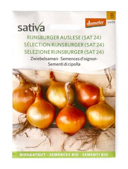 Semi di Cipolla Bio - Selezione Rijnsburger - 1