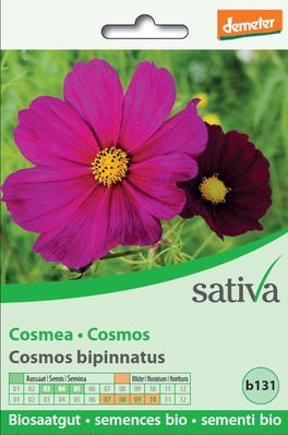 Semi di Cosmea - 1