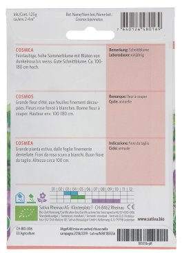 Semi di Cosmea - 3