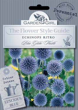 Semi di Echinops Ritro - Blue Globe Thistle