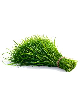 Semi di Erba Cipollina Bio - 50g - 1