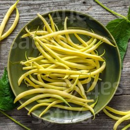 Semi di Fagiolino Nano Burro Bio - Creso - 3