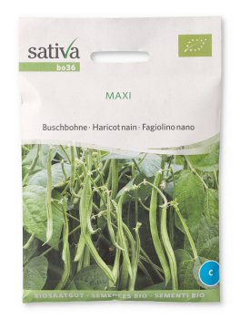 Semi di Fagiolino Nano Maxi - 1