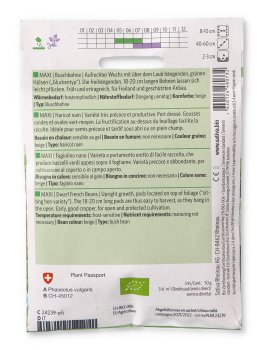 Semi di Fagiolino Nano Maxi - 2