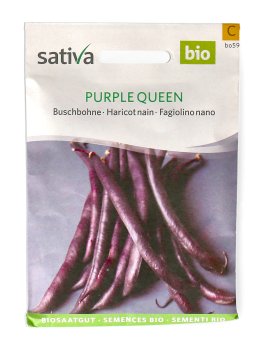 Semi di Fagiolino Nano Purple Queen - 1