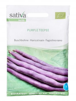 Semi di Fagiolino Nano Purple Teepee - 1