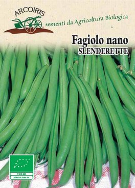 Semi di Fagiolino Nano Slenderette Bio - 3