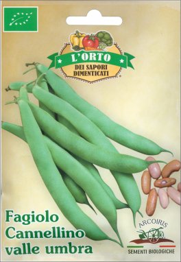 Semi di Fagiolo Cannelino Valle Umbra Bio - 2