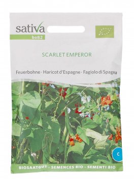 Semi di Fagiolo Di Spagna Scarlet Emperor - 1