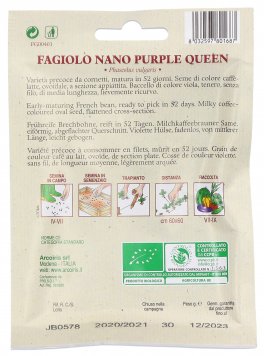 Semi di Fagiolo Nano Violetto (Purple Queen) Bio - 3
