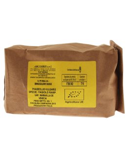 Semi di Fagiolo Rampicante Maravilla De Venecia Bio - 2