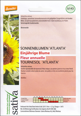 Semi di Fiore Annuale Girasole Atlanta - 2