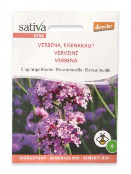 Semi di Fiore Annuale Verbena - 1