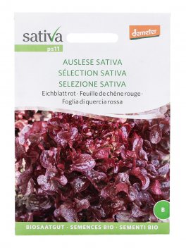 Semi di Foglia di Quercia Rossa - Selezione Sativa - 1