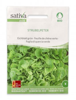 Semi di Foglia di Quercia Verde Bio - Strubelpeter - 1
