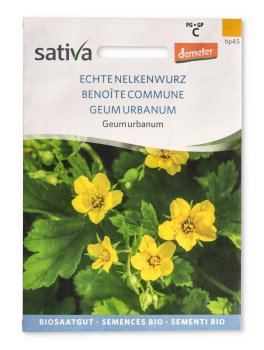 Semi di Geum Urbanum - 1