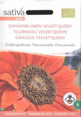 Semi di Girasole "Velvet Queen" - 1