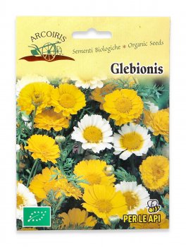 Semi di Glebionis Coronaria Bio - 2